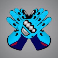 Blue Motorbike Gloves